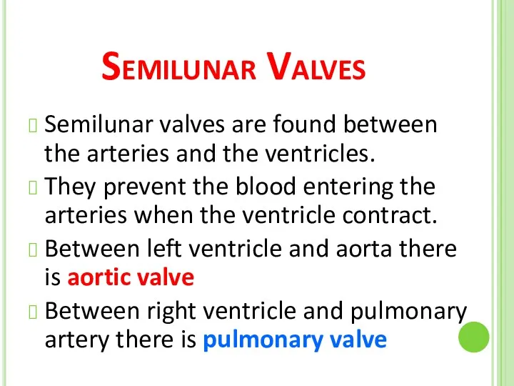 Semilunar Valves Semilunar valves are found between the arteries and