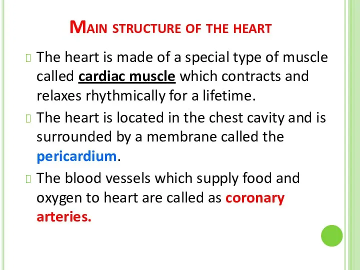 Main structure of the heart The heart is made of a special type