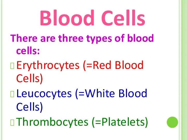 Blood Cells There are three types of blood cells: Erythrocytes (=Red Blood Cells)