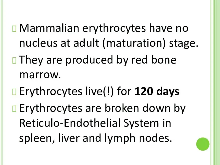 Mammalian erythrocytes have no nucleus at adult (maturation) stage. They