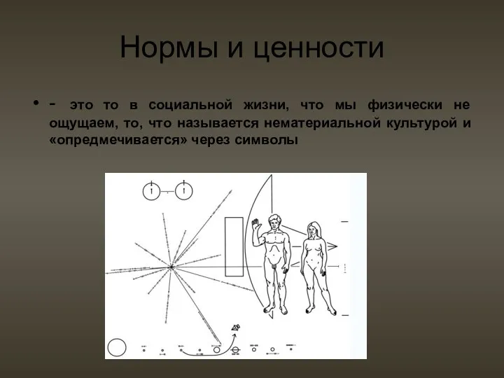 Нормы и ценности - это то в социальной жизни, что мы физически не