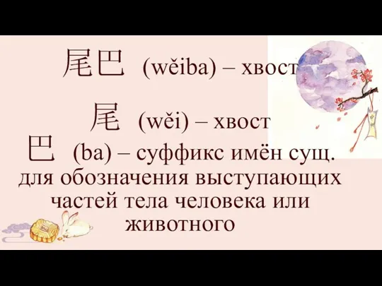 尾巴 (wěiba) – хвост 尾 (wěi) – хвост 巴 (ba)