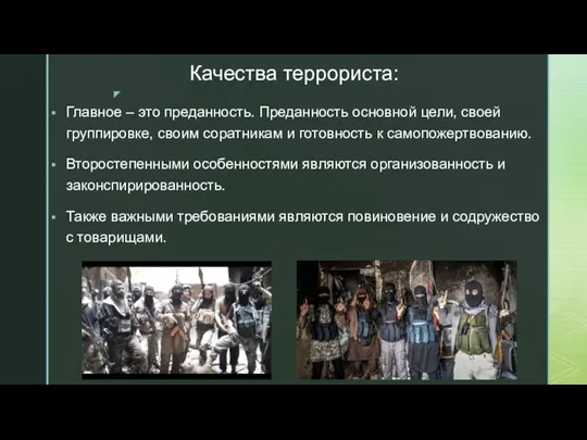 Качества террориста: Главное – это преданность. Преданность основной цели, своей