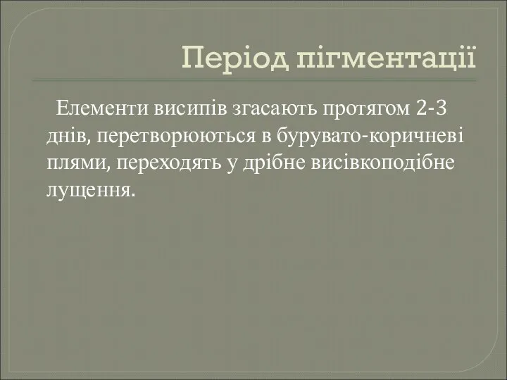 Період пігментації Елементи висипів згасають протягом 2-3 днів, перетворюються в