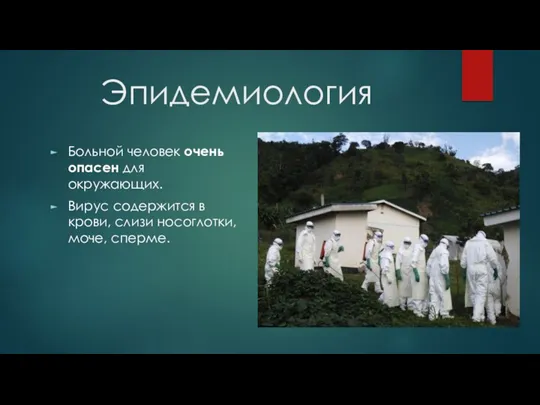 Эпидемиология Больной человек очень опасен для окружающих. Вирус содержится в крови, слизи носоглотки, моче, сперме.