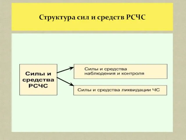 Структура сил и средств РСЧС