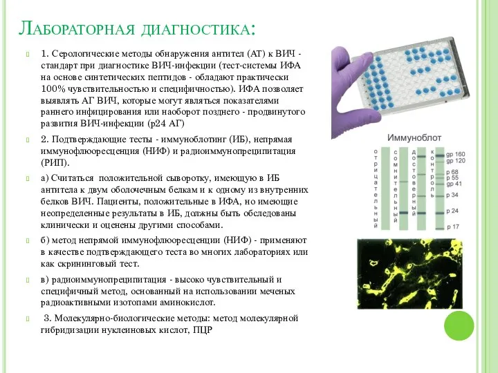 Лабораторная диагностика: 1. Серологические методы обнаружения антител (АТ) к ВИЧ