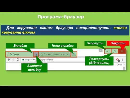 Програма-браузер Для керування вікном браузера використовують кнопки керування вікном. Вкладки Нова вкладка Згорнути