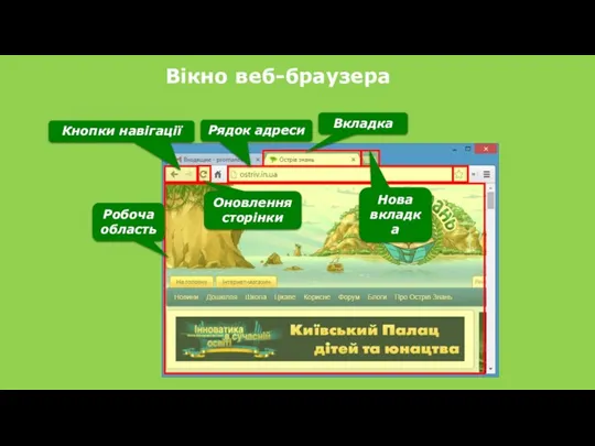 Вікно веб-браузера Рядок адреси Вкладка Кнопки навігації Робоча область Оновлення сторінки Нова вкладка