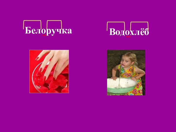 Белоручка Водохлёб