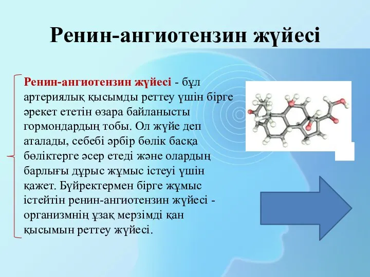 Ренин-ангиотензин жүйесі Ренин-ангиотензин жүйесі - бұл артериялық қысымды реттеу үшін