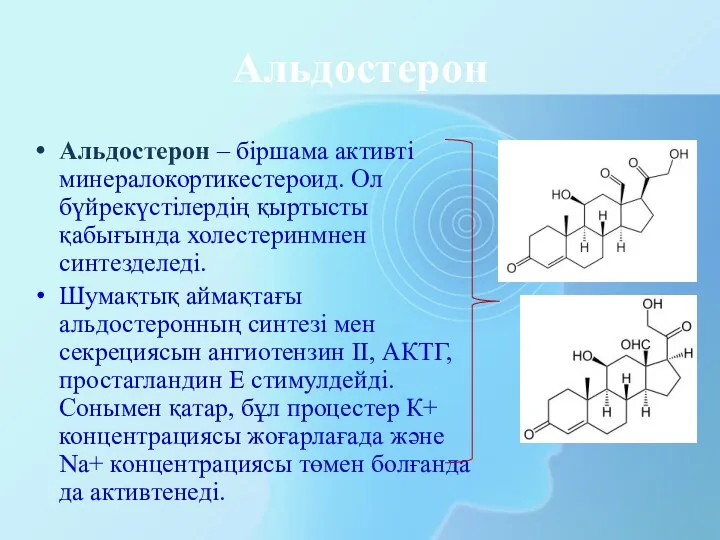 Альдостерон Альдостерон – біршама активті минералокортикестероид. Ол бүйрекүстілердің қыртысты қабығында