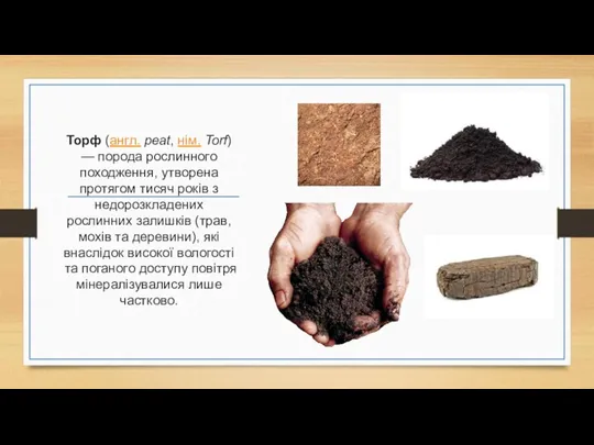 Торф (англ. peat, нім. Torf) — порода рослинного походження, утворена