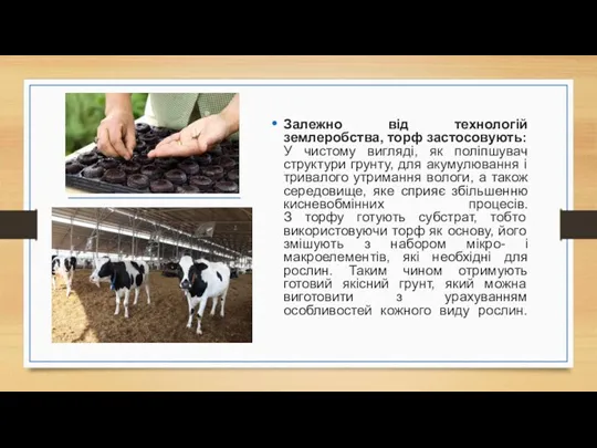 Залежно від технологій землеробства, торф застосовують: У чистому вигляді, як