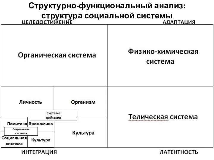 Структурно-функциональный анализ: структура социальной системы