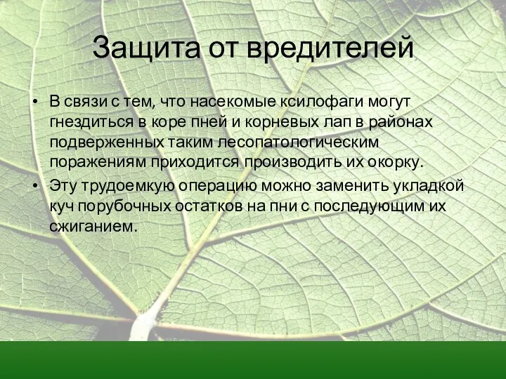 Защита от вредителей В связи с тем, что насекомые ксилофаги