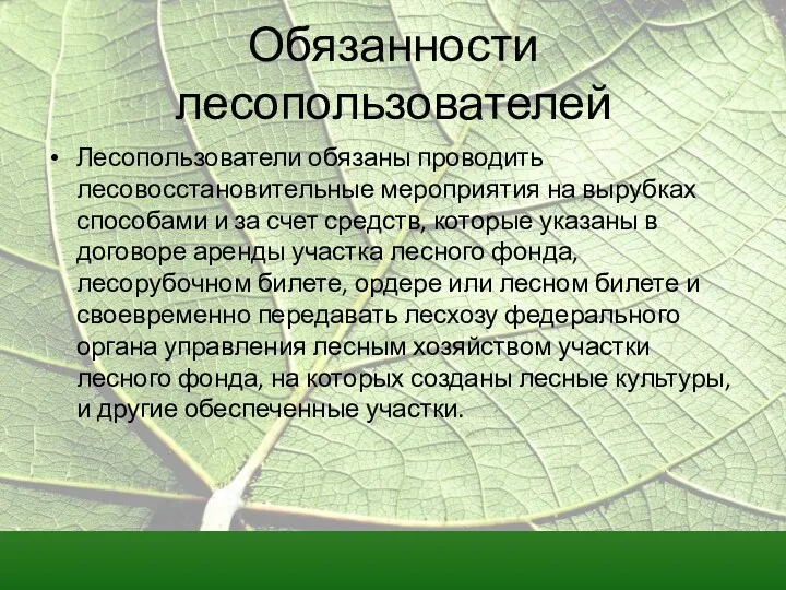 Обязанности лесопользователей Лесопользователи обязаны проводить лесовосстановительные мероприятия на вырубках способами