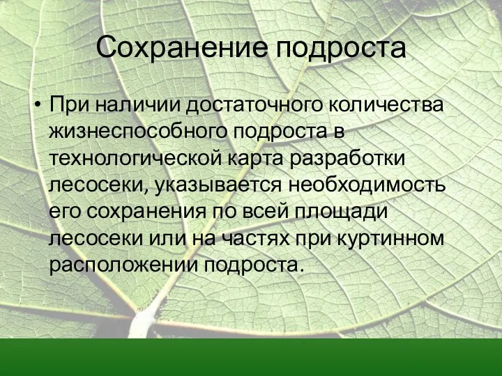 Сохранение подроста При наличии достаточного количества жизнеспособного подроста в технологической