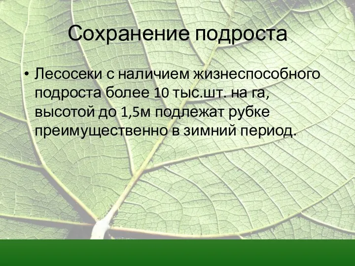 Сохранение подроста Лесосеки с наличием жизнеспособного подроста более 10 тыс.шт.