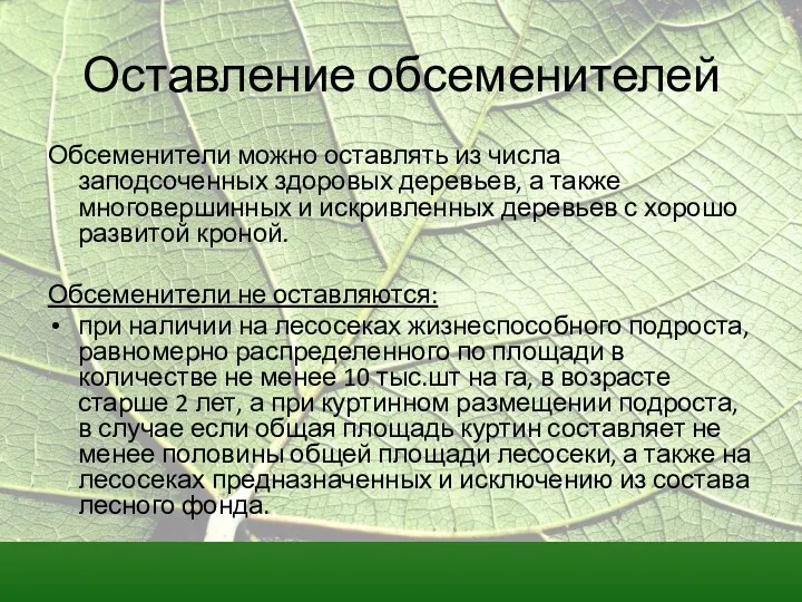 Оставление обсеменителей Обсеменители можно оставлять из числа заподсоченных здоровых деревьев,