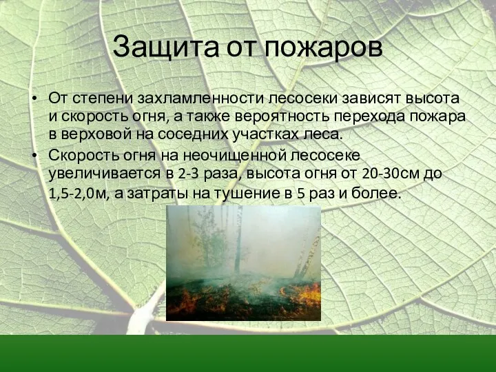 Защита от пожаров От степени захламленности лесосеки зависят высота и