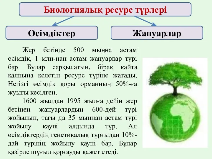 Биологиялық ресурс түрлері Өсімдіктер Жануарлар Жер бетінде 500 мыңна астам