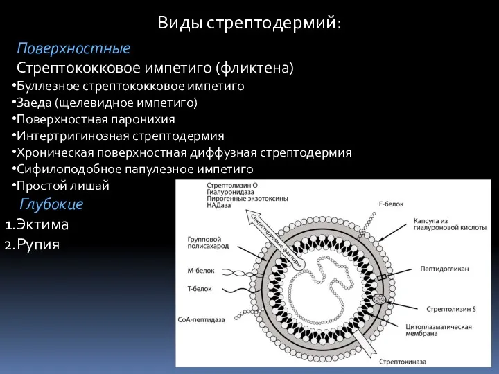 Виды стрептодермий: Поверхностные Стрептококковое импетиго (фликтена) Буллезное стрептококковое импетиго Заеда (щелевидное импетиго) Поверхностная
