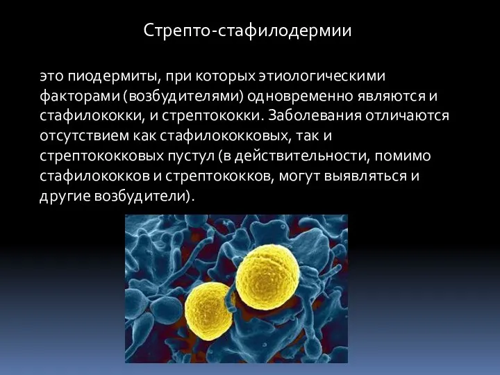 Стрепто-стафилодермии это пиодермиты, при которых этиологическими факторами (возбудителями) одновременно являются и стафилококки, и