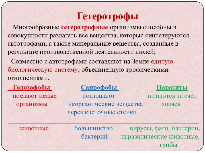 Гетеротрофы Многообразные гетеротрофные организмы способны в совокупности разлагать все вещества,