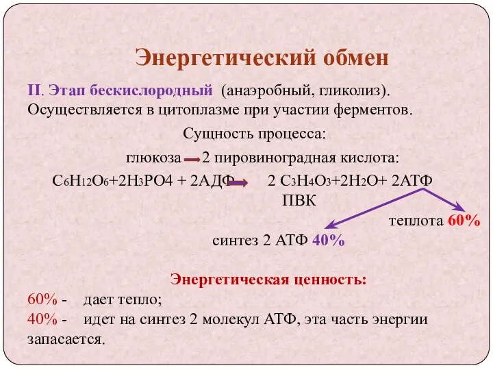 Энергетический обмен II. Этап бескислородный (анаэробный, гликолиз). Осуществляется в цитоплазме