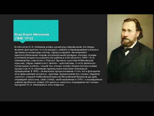 Илья Ильич Мечников (1845-1916). В патологии И. И. Мечников развил