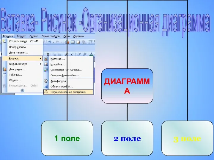 Вставка- Рисунок -Организационная диаграмма