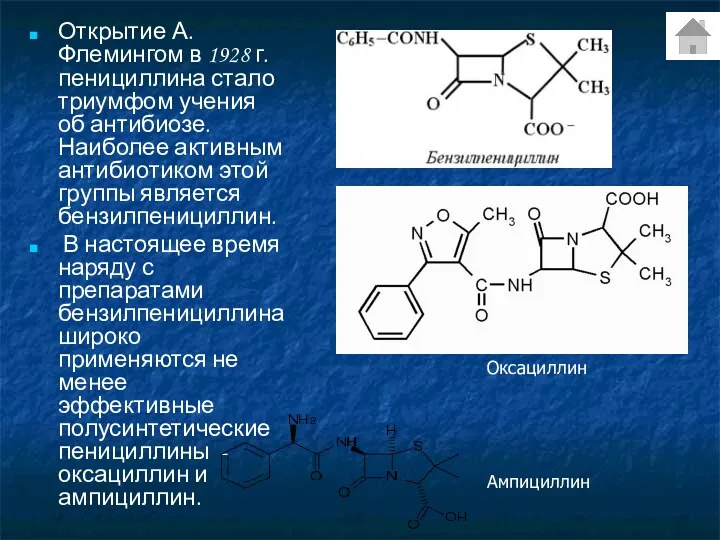 Открытие А. Флемингом в 1928 г. пенициллина стало триумфом учения