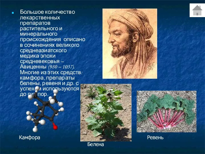 Большое количество лекарственных препаратов растительного и минерального происхождения описано в сочинениях великого среднеазиатского