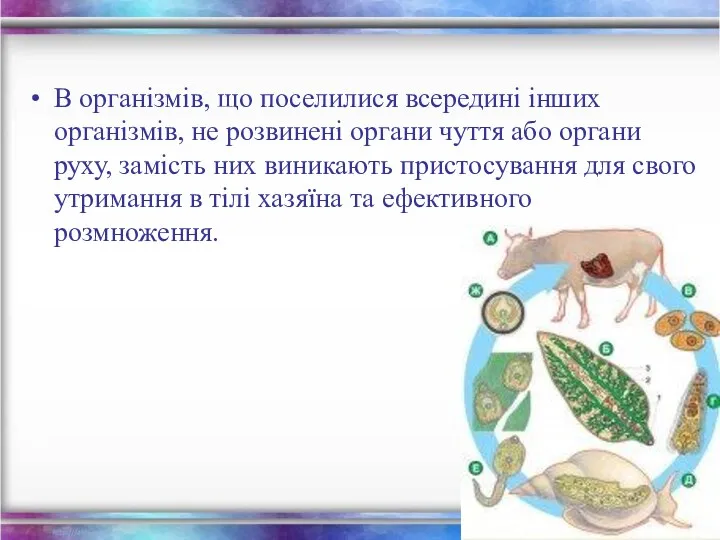 В організмів, що поселилися всередині інших організмів, не розвинені органи