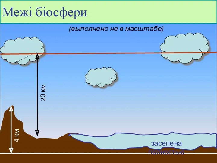 Межі біосфери заселена полностью (выполнено не в масштабе)