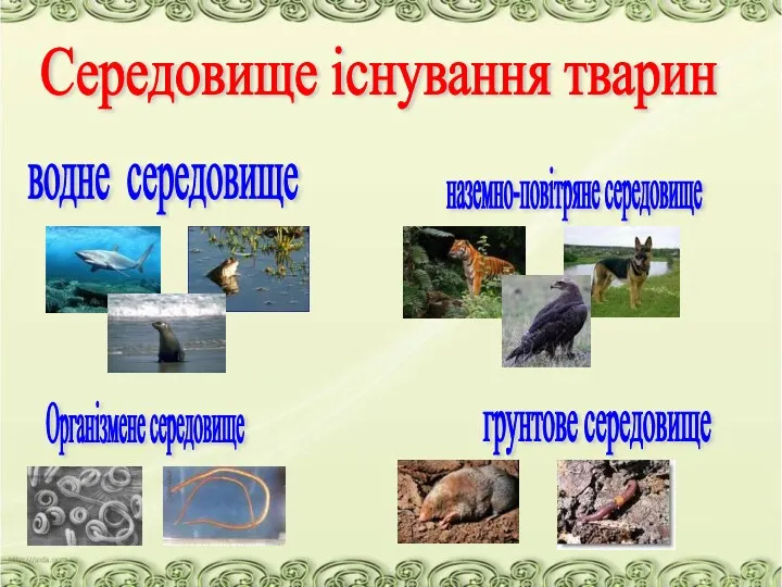 Середовище існування тварин водне середовище наземно-повітряне середовище грунтове середовище Організмене середовище