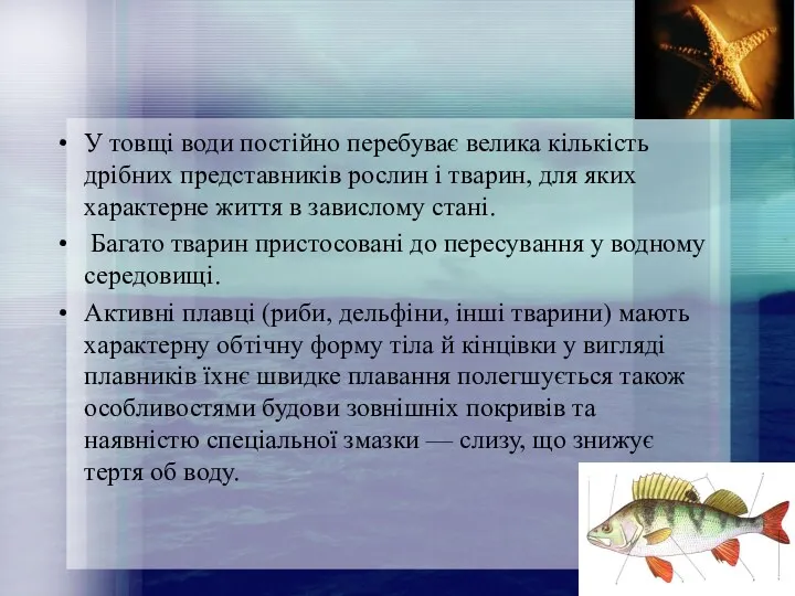 У товщі води постійно перебуває велика кількість дрібних представників рослин