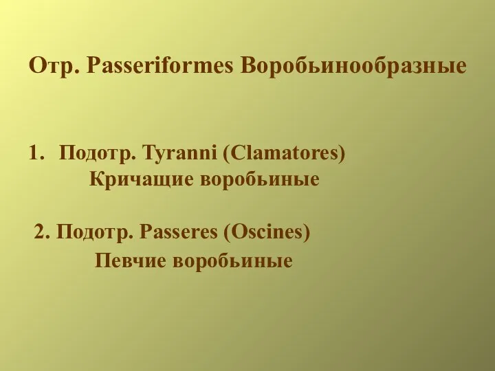 Отр. Passeriformes Воробьинообразные Подотр. Tyranni (Clamatores) Кричащие воробьиные 2. Подотр. Passeres (Oscines) Певчие воробьиные