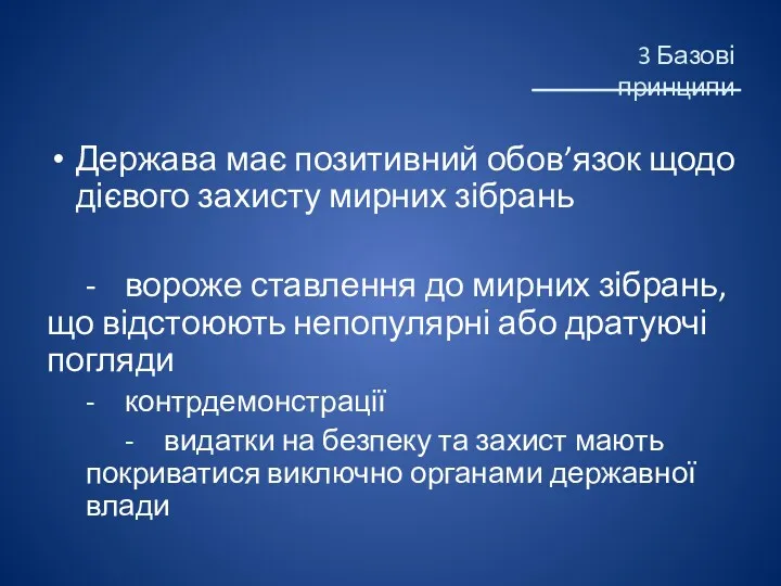 3 Базові принципи Держава має позитивний обов’язок щодо дієвого захисту