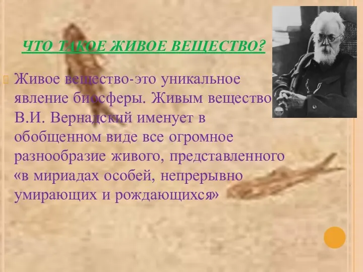 ЧТО ТАКОЕ ЖИВОЕ ВЕЩЕСТВО? Живое вещество-это уникальное явление биосферы. Живым