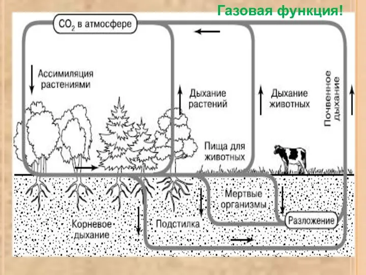 Газовая функция!