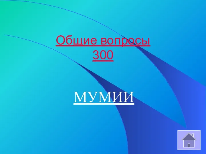 Общие вопросы 300 МУМИИ