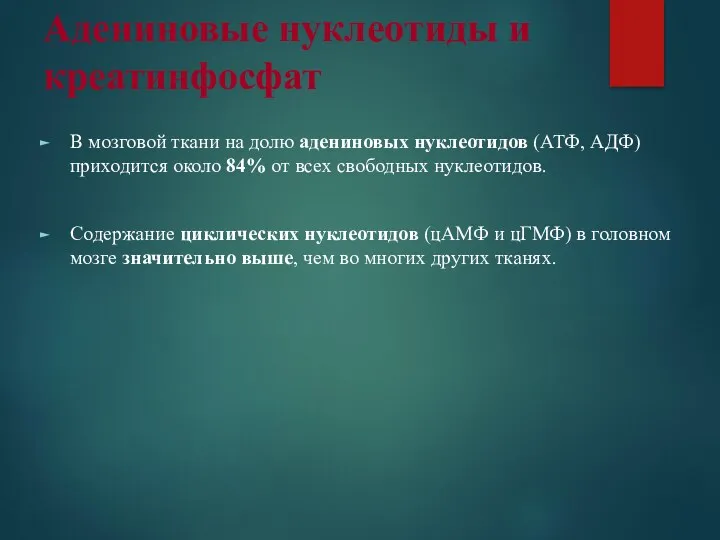 Адениновые нуклеотиды и креатинфосфат В мозговой ткани на долю адениновых