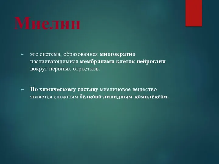 Миелин это система, образованная многократно наслаивающимися мембранами клеток нейроглии вокруг