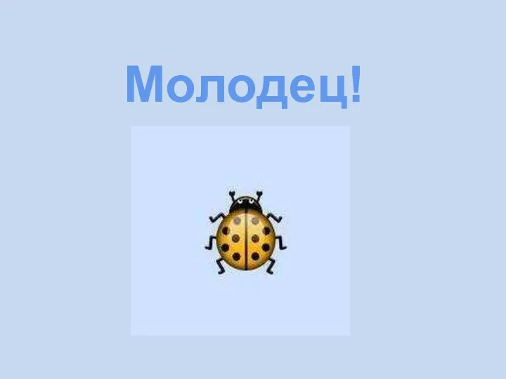 Молодец!