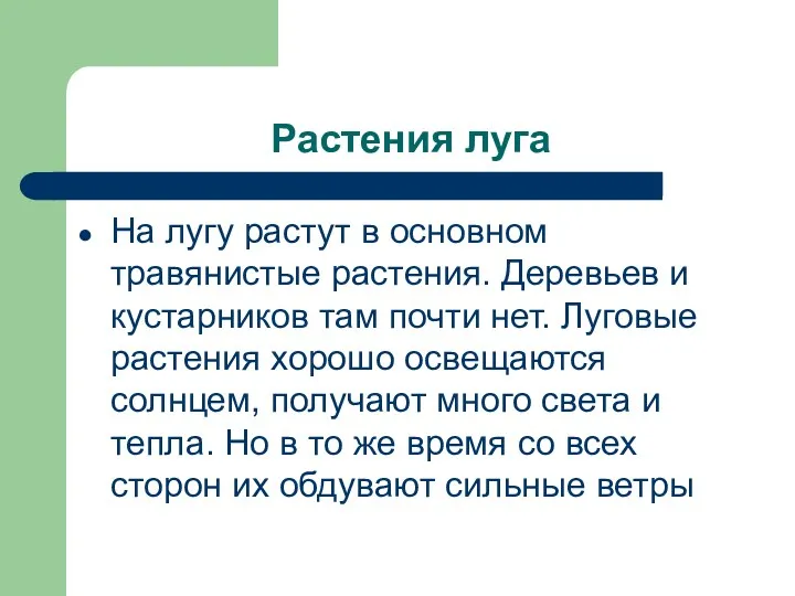 Растения луга На лугу растут в основном травянистые растения. Деревьев