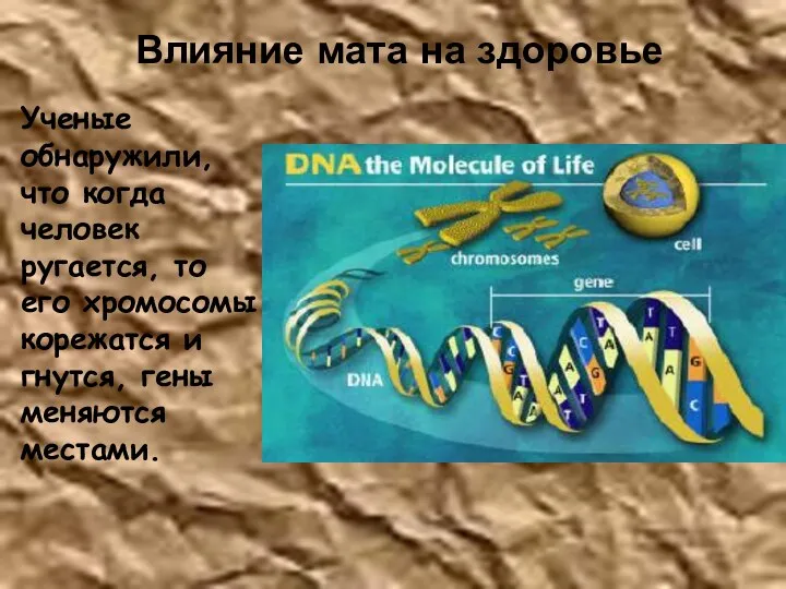 Влияние мата на здоровье Ученые обнаружили, что когда человек ругается,