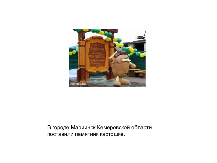 В городе Мариинск Кемеровской области поставили памятник картошке.