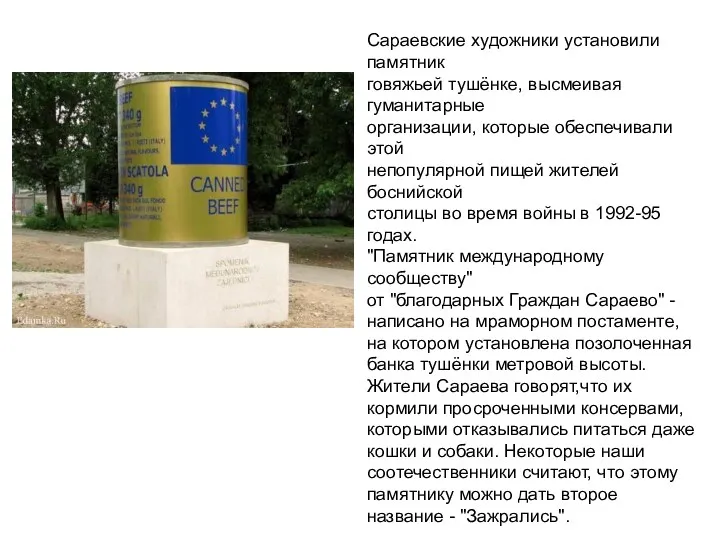 Сараевские художники установили памятник говяжьей тушёнке, высмеивая гуманитарные организации, которые
